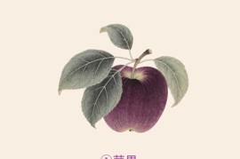 饮食养生图文【速创剪映小助手】