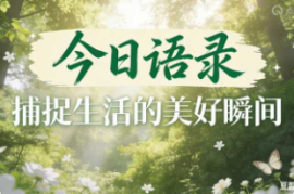 今日语录 滚动特效【速创剪映小助手】