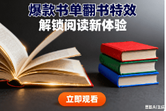 爆款书单视频【翻书特效】