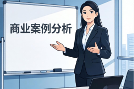 S48商业案例科普解说