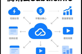 腾讯云SubtitleInfo