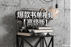 爆款书单视频【高级版】【二改版本】