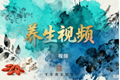 水墨风养生视频【口播】